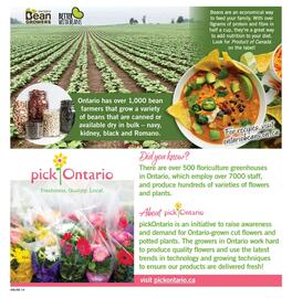 Fortinos flyer week 33 Page 14