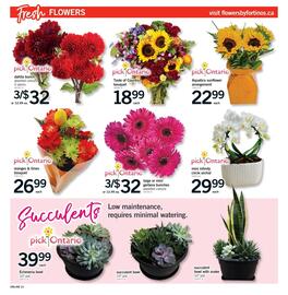 Fortinos flyer week 33 Page 20
