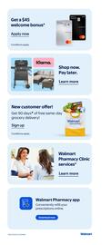 Walmart flyer week 33 Page 19