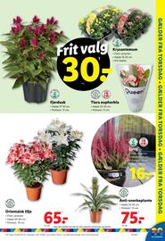 Lidl tilbudsavis uge 34 Side 31