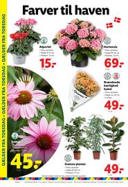 Lidl tilbudsavis uge 34 Side 32