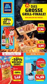 Hofer Flugblatt woche 33 Seite 1