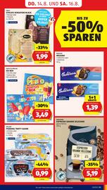 Hofer Flugblatt woche 33 Seite 13