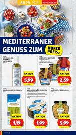 Hofer Flugblatt woche 33 Seite 14