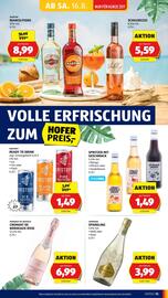 Hofer Flugblatt woche 33 Seite 17