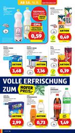 Hofer Flugblatt woche 33 Seite 18