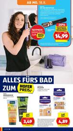 Hofer Flugblatt woche 33 Seite 28