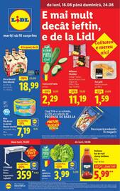 Catalog Lidl săptămâna 34 Pagină 1