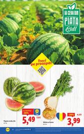 Catalog Lidl săptămâna 34 Pagină 2