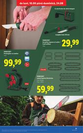 Catalog Lidl săptămâna 34 Pagină 21