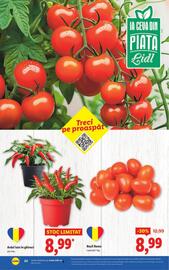 Catalog Lidl săptămâna 34 Pagină 24