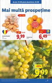 Catalog Lidl săptămâna 34 Pagină 25