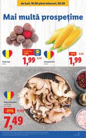 Catalog Lidl săptămâna 34 Pagină 3