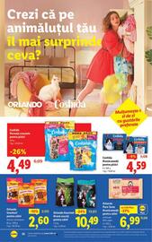 Catalog Lidl săptămâna 34 Pagină 32