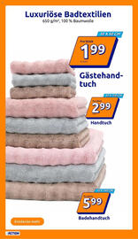 Action Prospekt woche 33 Seite 13