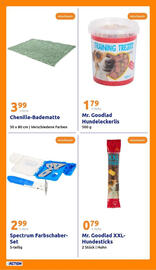 Action Prospekt woche 33 Seite 20