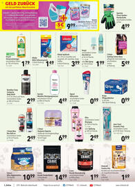 CITTI Markt Prospekt woche 33 Seite 16
