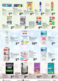 CITTI Markt Prospekt woche 33 Seite 17