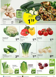 CITTI Markt Prospekt woche 33 Seite 5