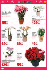 Catalog Carrefour săptămâna 33 Pagină 42