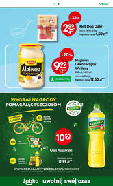 Żabka gazetka Strona 13