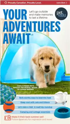Petland flyer (valid until 31-08)