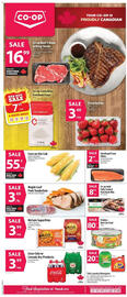 Co-op flyer week 33 Page 1