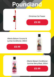 Poundland leaflet Page 3