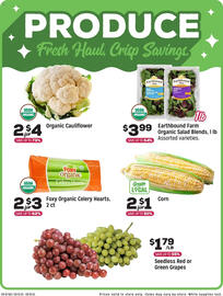 Grocery Outlet Weekly Ad week 33 Page 3