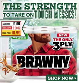 Lowes Foods Weekly Ad week 33 Page 18