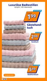 Action Flugblatt woche 33 Seite 13