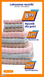 Action gazetka tydzień 33 Strona 13