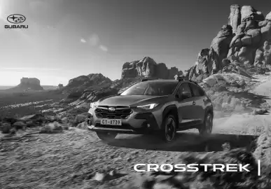 Subaru Flugblatt | Crosstrek Seite 1