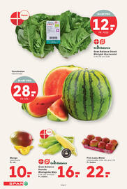 SPAR tilbudsavis uge 33 Side 2