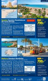 Lidl Flugblatt Seite 11