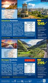 Lidl Flugblatt Seite 13