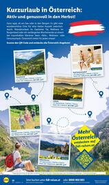 Lidl Flugblatt Seite 20