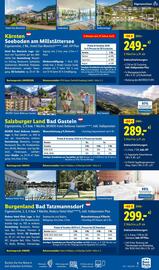 Lidl Flugblatt Seite 3