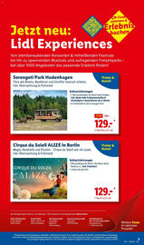 Lidl Reisen Prospekt Seite 3