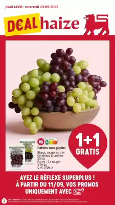 Proxy Delhaize folder (geldig t/m 20-08)