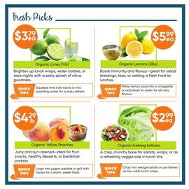 Healthy Planet flyer Page 2
