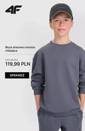 4F gazetka tydzień 33 Strona 10