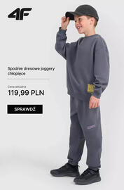 4F gazetka tydzień 33 Strona 8