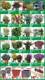 Wreesmann Prospekt woche 33 Seite 5