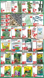 Wreesmann Prospekt woche 33 Seite 8