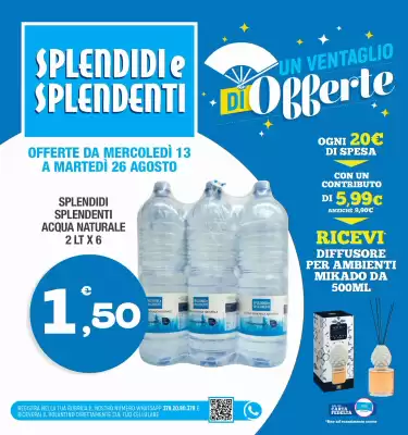 Volantino Splendidi e Splendenti