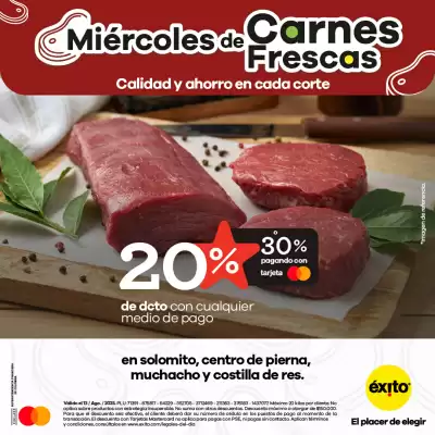 Catálogo Éxito (válido hasta 13-08)