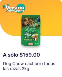 Catálogo OXXO semana 33 Página 78