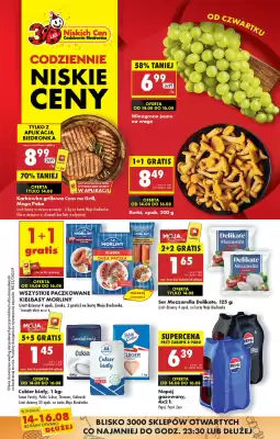 Biedronka gazetka (ważność do 20-08)