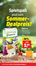 Thomas Philipps Flugblatt woche 33 Seite 10